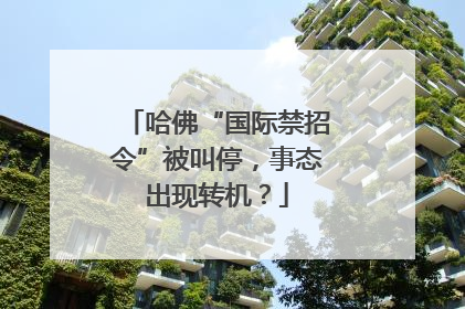 哈佛“国际禁招令”被叫停，事态出现转机？